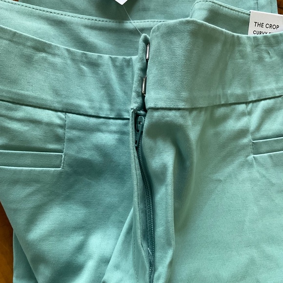 NEW Ann Taylor Crop Pants Womens Green Cotton Twill Slacks Chino Capri - Picture 3 of 7